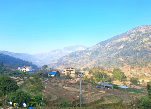 महाभारत गाउँपालिका वडा नं. ६ देवीटार